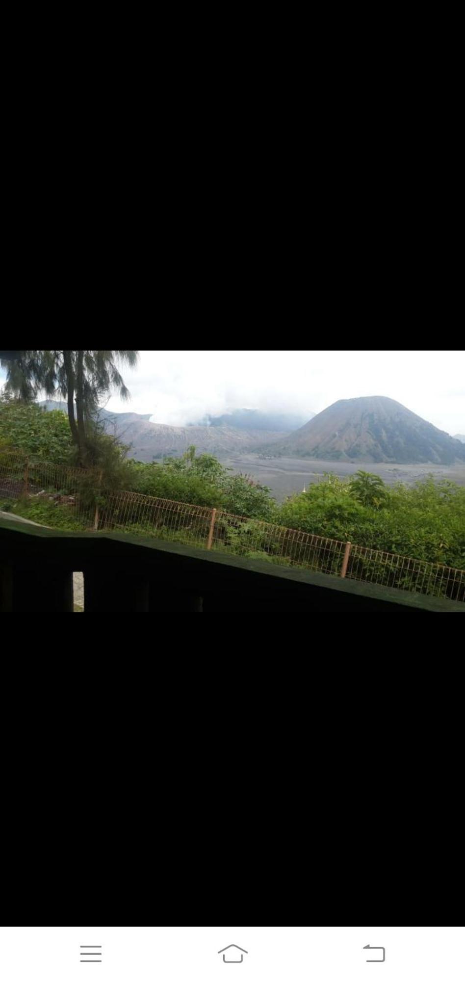 Cemara Indah Hotel Bromo Quarto foto